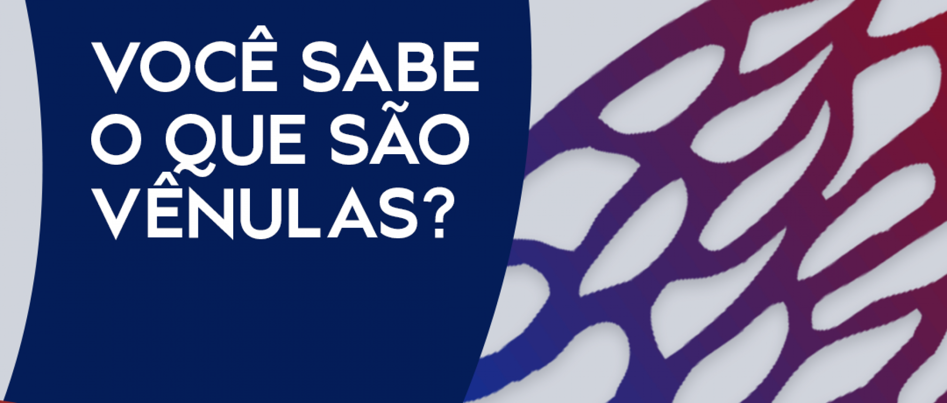 Você sabe o que são vênulas? - AngioViva